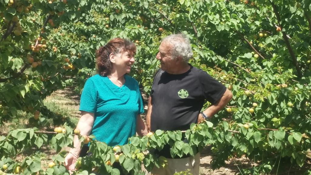 Nuriel Fruit & Guest House Sheʼar Yashuv Eksteriør billede